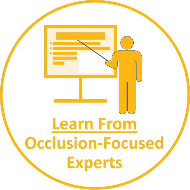 Occlusion Experts